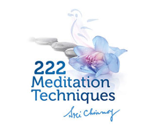222 Meditation Techniques