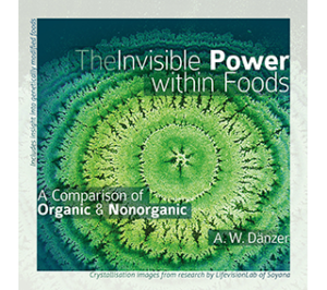 The Invisible Power within Foods