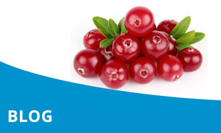 Reis naar vitaliteit deel 6: blaasontsteking